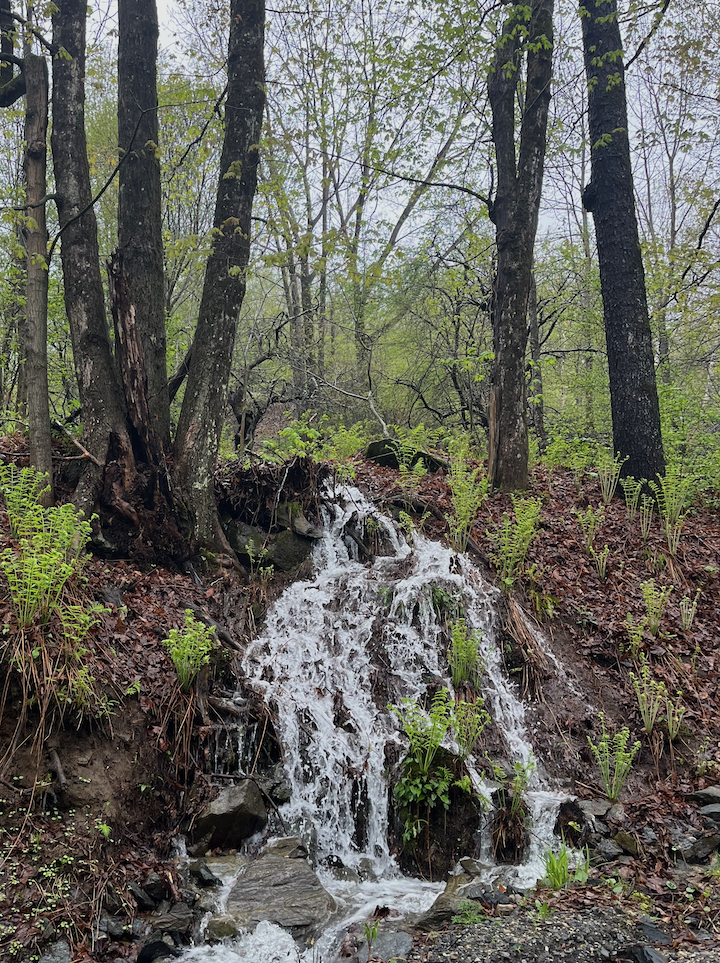 a quiet place